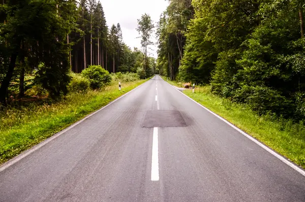 Avrupa asfalt orman yolu — Stok fotoğraf