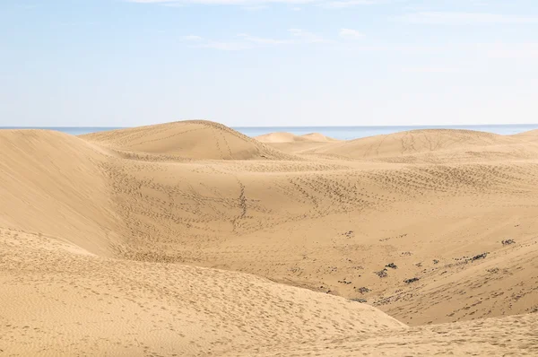 Desierto de dunas de arena — Foto de Stock