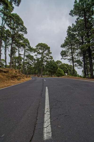 Lunga strada solitaria — Foto Stock