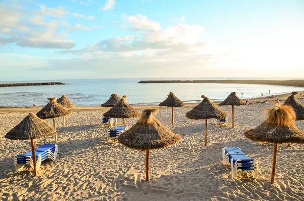 Tropical Beach — Stock Photo, Image