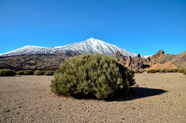 Woestijnlandschap in Nationaal Park Volcan Teide — Stockfoto