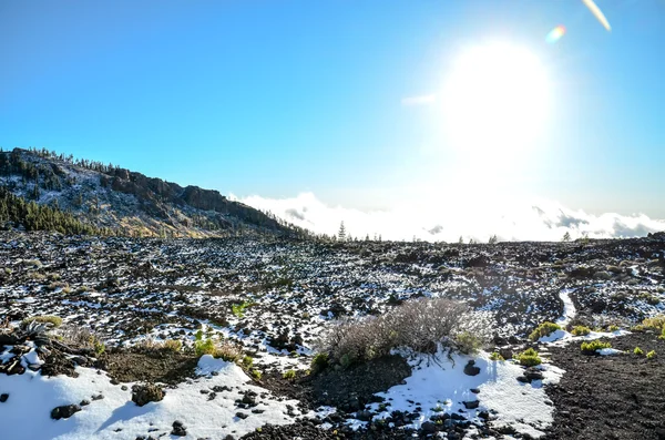 Krajobraz pustynny w Parku Narodowym Volcan Teide — Zdjęcie stockowe