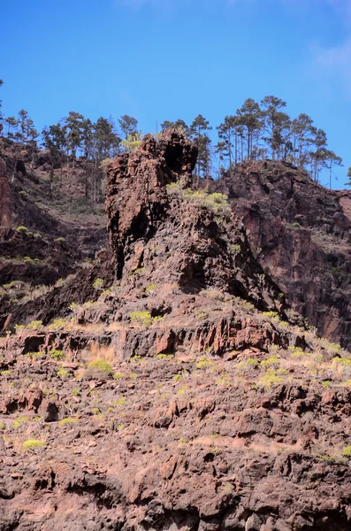 Formación Basáltica de Roca Volcánica en Gran Canaria — Foto de Stock
