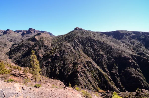 Gran Valle —  Fotos de Stock