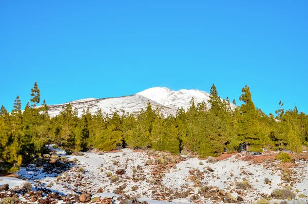 Paesaggio invernale — Foto Stock