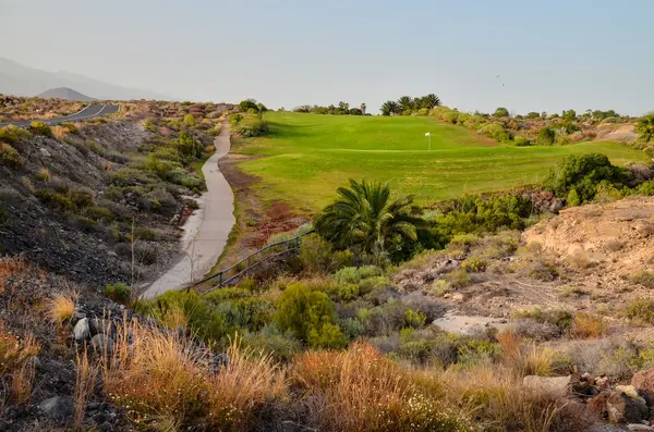 Golf yeşil çim alan — Stok fotoğraf