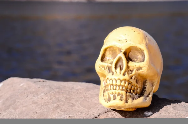 Cráneo humano abandonado — Foto de Stock