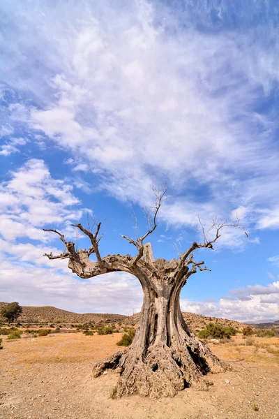 Desert Tabernas nella provincia di Almeria Spagna — Foto Stock