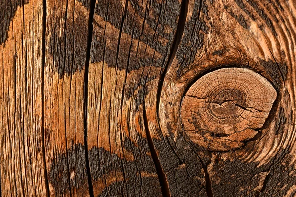 Holz Hintergrund Textur — Stockfoto