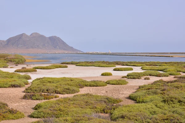 Paisaje en el sur de España — Foto de Stock