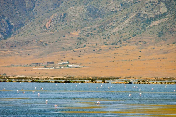 Paisagem em South Spain — Fotografia de Stock