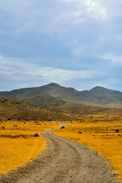 Caminho da terra do deserto do campo — Fotografia de Stock