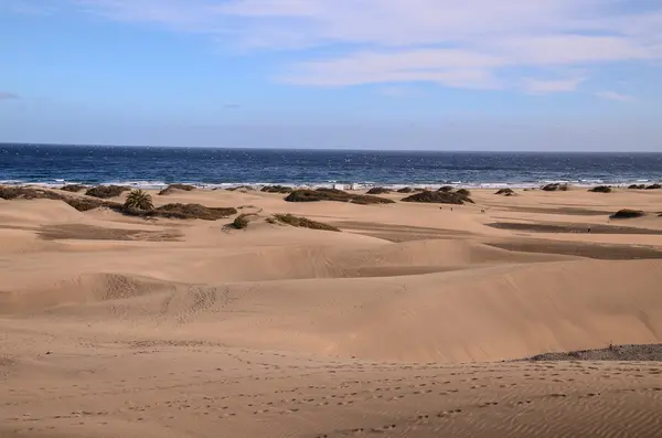 Deserto delle dune di sabbia a Maspalomas — Foto Stock