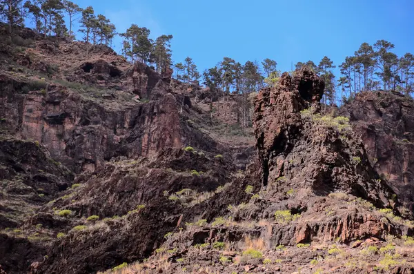 Formación Basáltica de Roca Volcánica en Gran Canaria — Foto de Stock