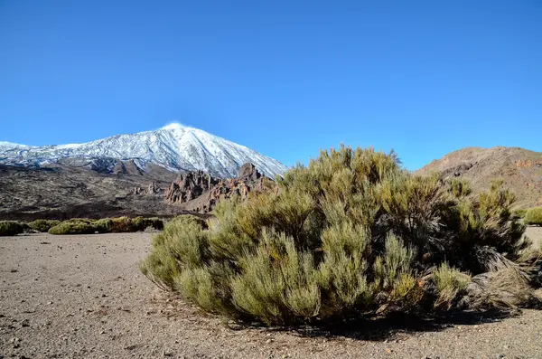 Paysage désertique dans le parc national Volcan Teide — Photo