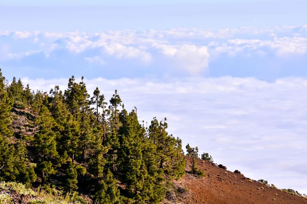 Mar de Nubes — Stock Photo, Image