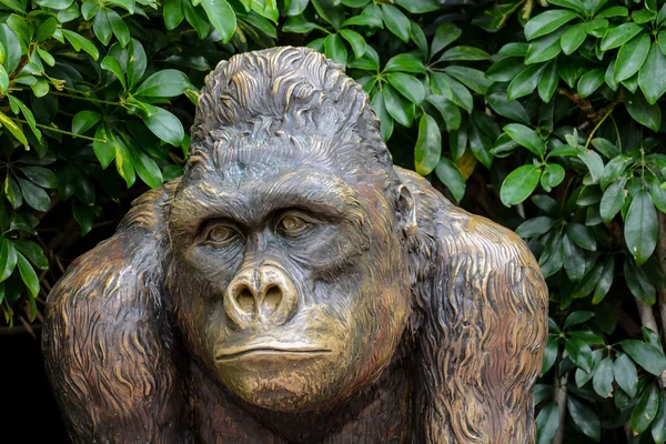 Estátua de Gorila Forte — Fotografia de Stock
