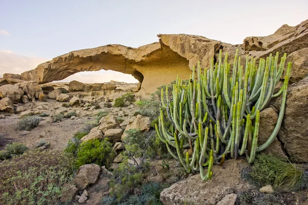 Natural Arch in the Desert — Stock Photo, Image