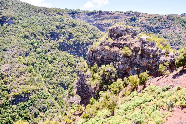 Valley na Kanárských ostrovech — Stock fotografie