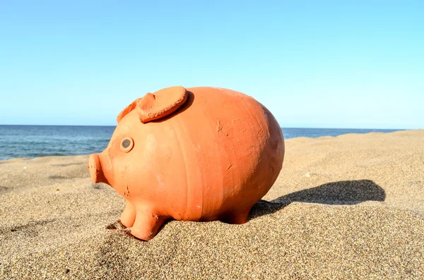 Spargris på Sand stranden — Stockfoto