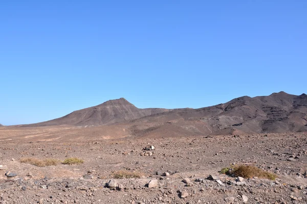 Paisagem seca do deserto — Fotografia de Stock