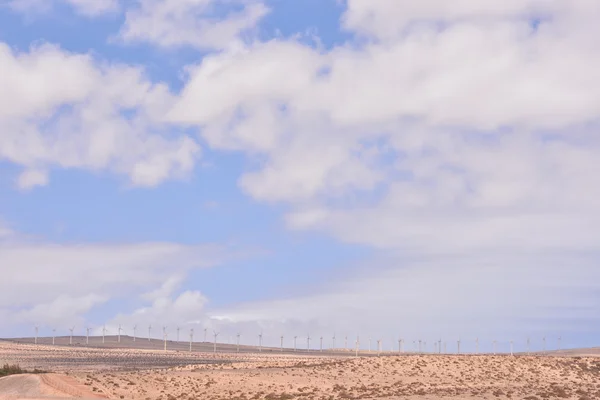 Desierto seco paisaje — Foto de Stock