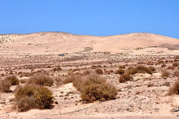 Droog woestijnlandschap — Stockfoto