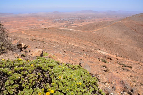 Droog woestijnlandschap — Stockfoto