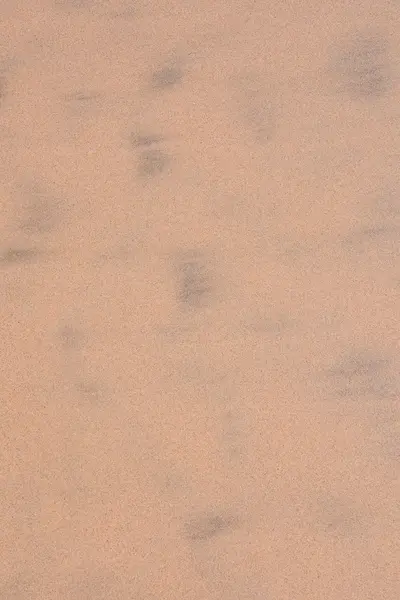 Desen Kum Çölü — Stok fotoğraf