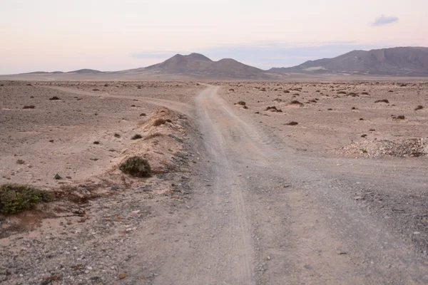 Estrada da terra do deserto do campo — Fotografia de Stock