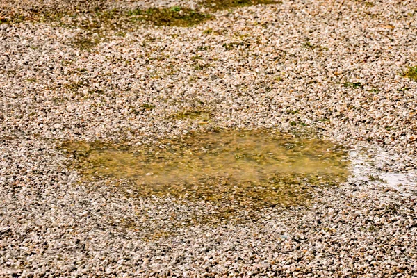 Kałuża wody i krople deszczu — Zdjęcie stockowe