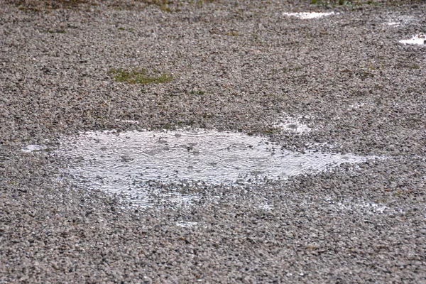 Pfütze aus Wasser und Regentropfen — Stockfoto