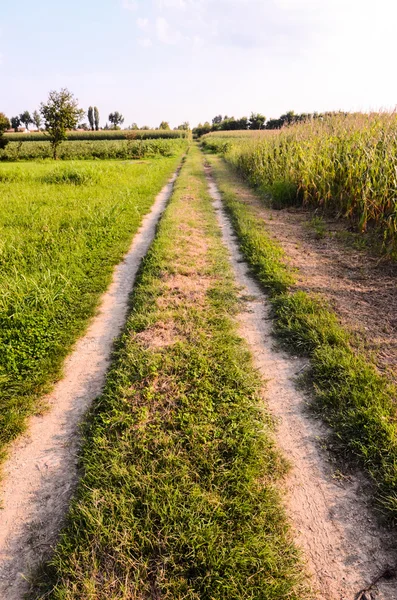 Route de gravier de campagne — Photo