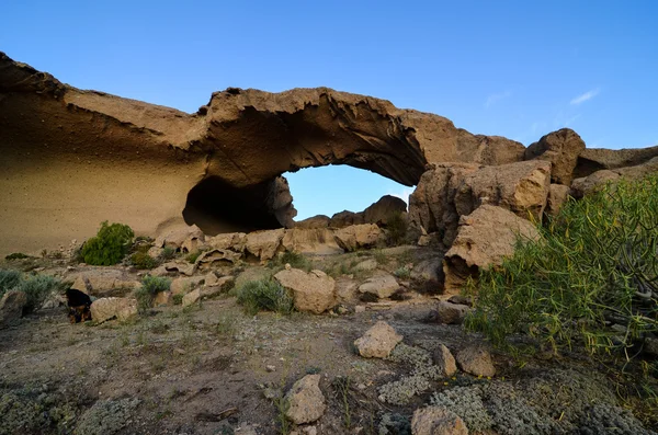砂漠の自然アーチ — ストック写真