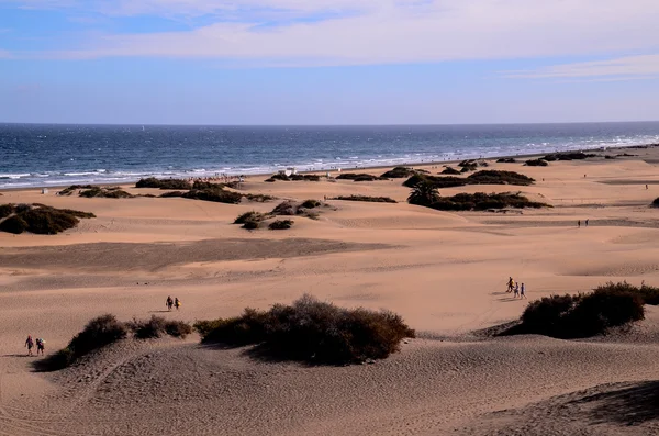 Playa del Ingles Tropical Beach — Stock Photo, Image