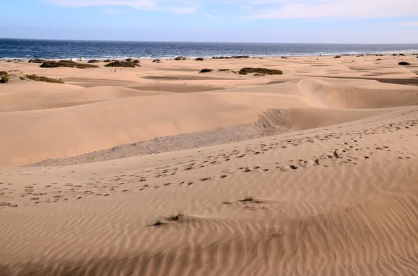 Deserto delle dune di sabbia a Maspalomas — Foto Stock