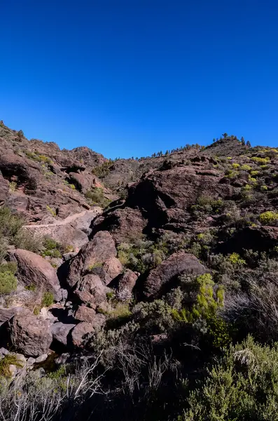 Vulkangestein Basaltische Formation auf Gran Canaria — Stockfoto