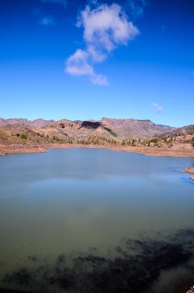 Svart vann i Gran Canaria – stockfoto