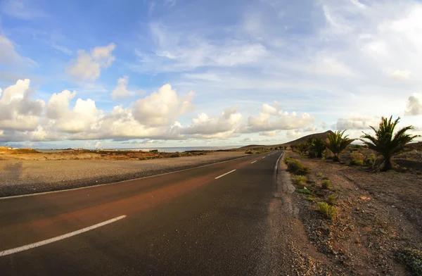 Lange lege woestijnweg — Stockfoto