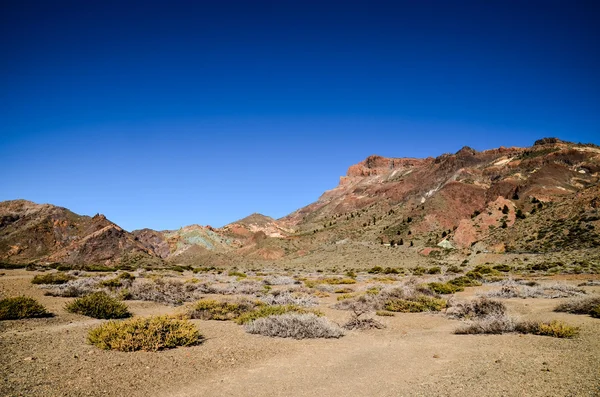 Paisagem do Deserto no Parque Nacional Volcan Teide — Fotografia de Stock