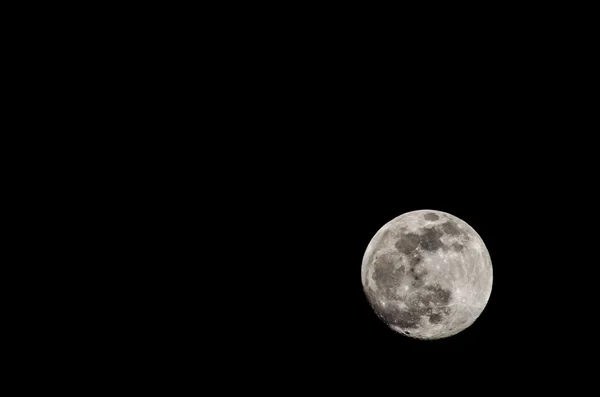 Full Moon 2014 — Stockfoto