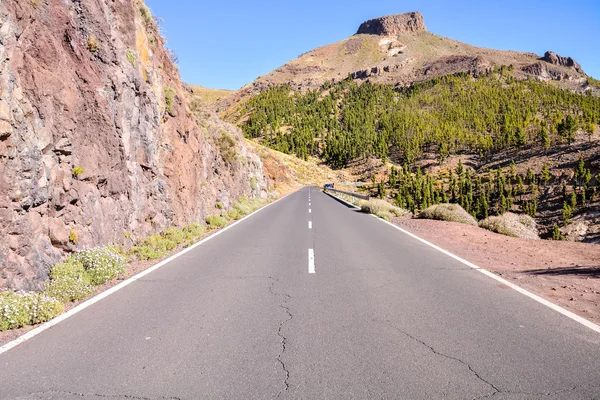 Long Lonely Road — Stock Photo, Image