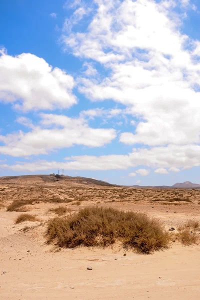 乾燥した砂漠の風景 — ストック写真