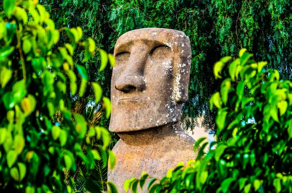 Moai stående från Påskön — Stockfoto