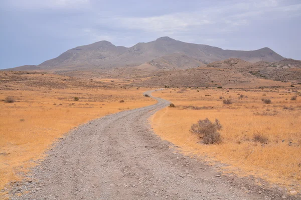 Campiña Camino de la suciedad del desierto —  Fotos de Stock
