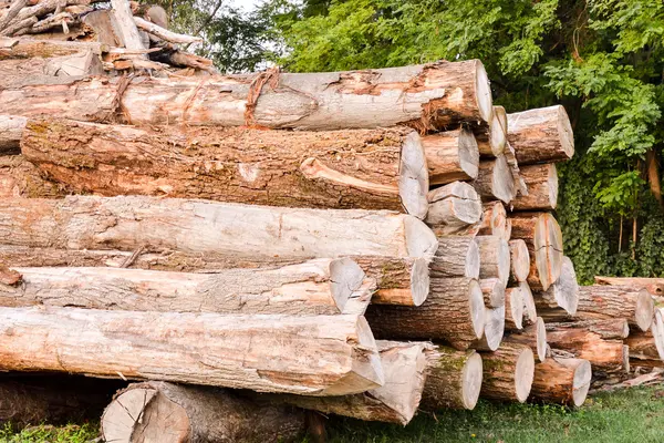 Holz Hintergrund Textur — Stockfoto