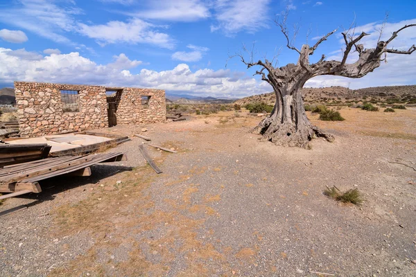 Wüste Tabernas in der Provinz Almeria Spanien — Stockfoto