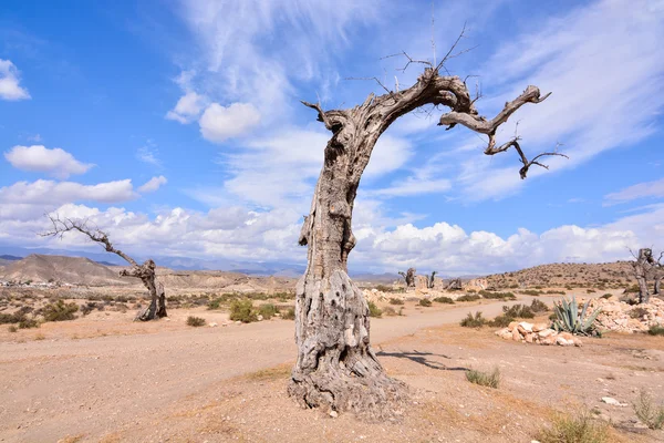 Пустеля Tabernas в Альмерії провінція Іспанії — стокове фото