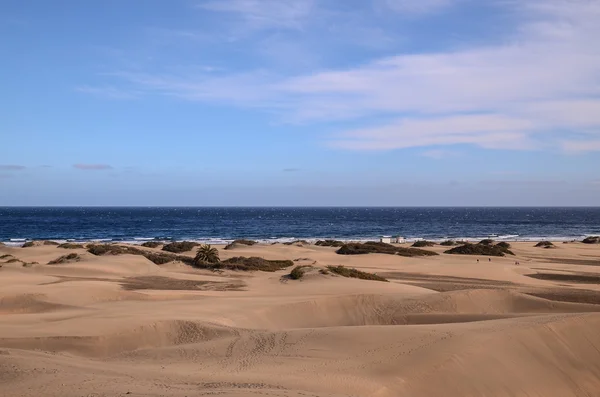 Desierto de dunas de arena en Maspalomas —  Fotos de Stock