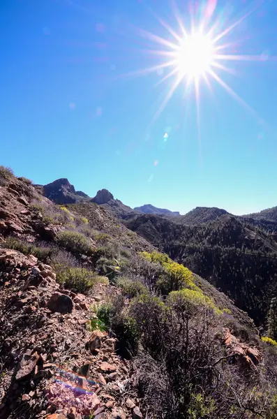 Vulkangestein Basaltische Formation auf Gran Canaria — Stockfoto